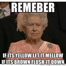 REMEBER IF ITS YELLOW LET IT MELLOW IF ITS BROWN FLUSH-IT DOWN ... via Relatably.com