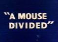 A Mouse Divided