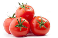 Rahasia dan Manfaat Buah Tomat