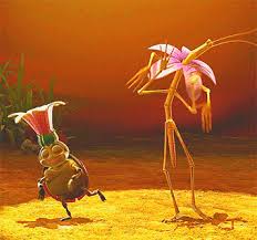 Resultado de imagen de insecto palo y hormiga dibujos animados