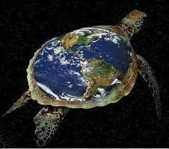 Image result for flat earth turtle flat earth turtle
