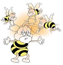 arılar ile ilgili görsel sonucu