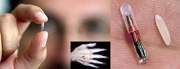 Image result for microchip implant hand or forehead