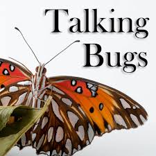 Talking Bugs