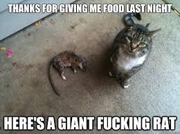 Generous Cat memes | quickmeme via Relatably.com