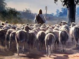 Resultado de imagem para imagens desenho de pastores pastoreando igrejas