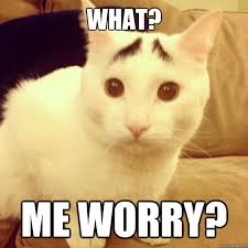 Worried Cat memes | quickmeme via Relatably.com