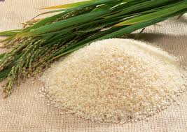 برنج ایرانی به مرز ۱۲هزار تومان رسید