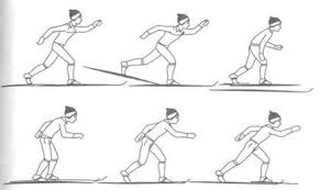 Картинки по запросу техника ступающего шага и повороты на лыжах