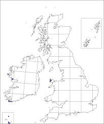 Tuberaria guttata | Online Atlas of the British and Irish Flora