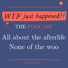 WTF Just Happened?!: Afterlife Evidence, Paranormal + Spirituality without the Woo
