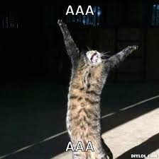 Happy Cat Meme Generator - DIY LOL via Relatably.com