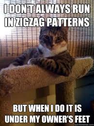 I don&#39;t always run in zigzag patterns but when i do it is under my ... via Relatably.com