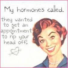Image result for menopausal bitch
