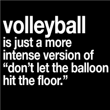Amazing Volleyball Quotes. QuotesGram via Relatably.com