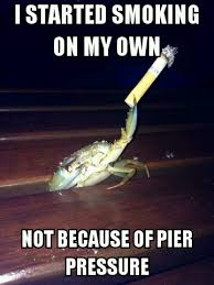 Nautical Pun Crustacean won&#39;t be a thing but who cares : AdviceAnimals via Relatably.com