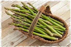 Image result for pictures of asparagus growing