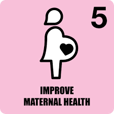 Image result for maternal mortality