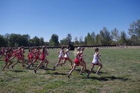 Image result for image cross country runners free