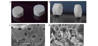 Image result for calcium Polyphosphate Matrices
