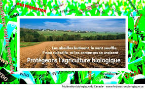 Résultat de recherche d'images pour "agriculture biologique"