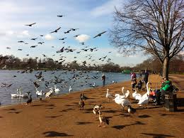 Image result for HYDE PARK LONDON IN FEBRUARY