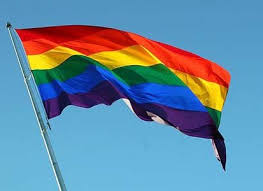 Image result for gay pride flag pictures