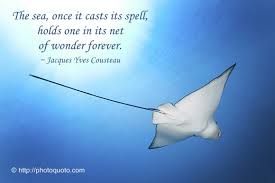 Quotes by Jacques Yves Cousteau @ Like Success via Relatably.com