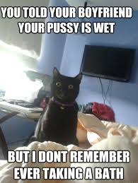 overly attached cat memes | quickmeme via Relatably.com