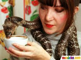 Seorang Artis Rusia Irina Filipova memberi minum susu pada peliharaannya ular cobra di apartemen ... - ketika-bintang-liar-dan-buas-akrab-dengan-manusia-006-debby