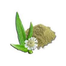 Image result for brahmi powder the power of indian powders