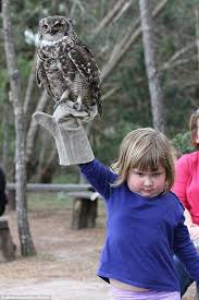 Girl holding an owl is turned into memes after a Photoshop battle ... via Relatably.com