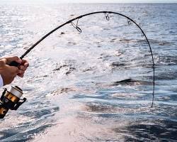 Coastal Fishing's 1550lb Turbo Guide Spinning Rod Sailfish