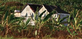 Image result for images for a barbadian chattel house on agriculture land