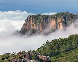 Góry Błękitne, Australia