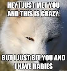 rabid arctic fox memes | quickmeme via Relatably.com