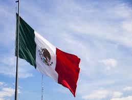 Image result for bandera de mexico