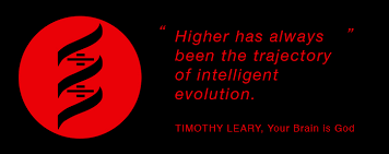 Leary Quotes. QuotesGram via Relatably.com