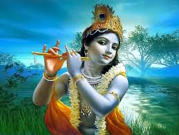 Image result for Lord Krishna Life Facts