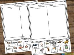 FREE Printable Animal Classification Worksheet for Kids