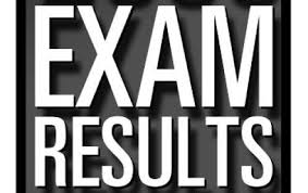 First year D.Ed results 2012, AP 1st years results 2012