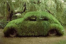 Image result for plant covered car
