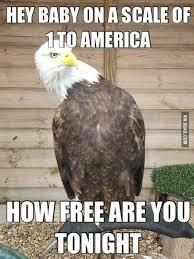 21 &#39;Murica Memes To Keep Your Patriotism Flowing via Relatably.com