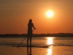 Image result for paddle board