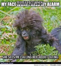 Alarmed Gorilla Baby Meme Generator - Captionator Caption ... via Relatably.com