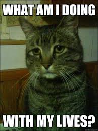 Advice Animal Meme Depressed Cat Introduction What am I Doing with ... via Relatably.com