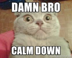 damn bro calm down - GEEZUS cat | Meme Generator via Relatably.com