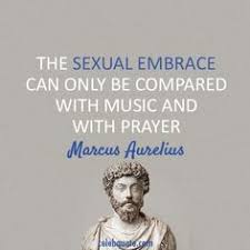 Marcus Aurelius on Pinterest | Marcus Aurelius Quotes, Perception ... via Relatably.com