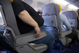 Image result for wider airplane seats