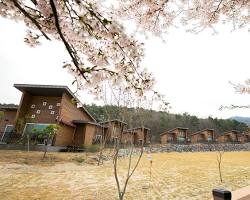 충북 단양 소백산자연휴양림 전경 및 숲속의 집, AI로 생성